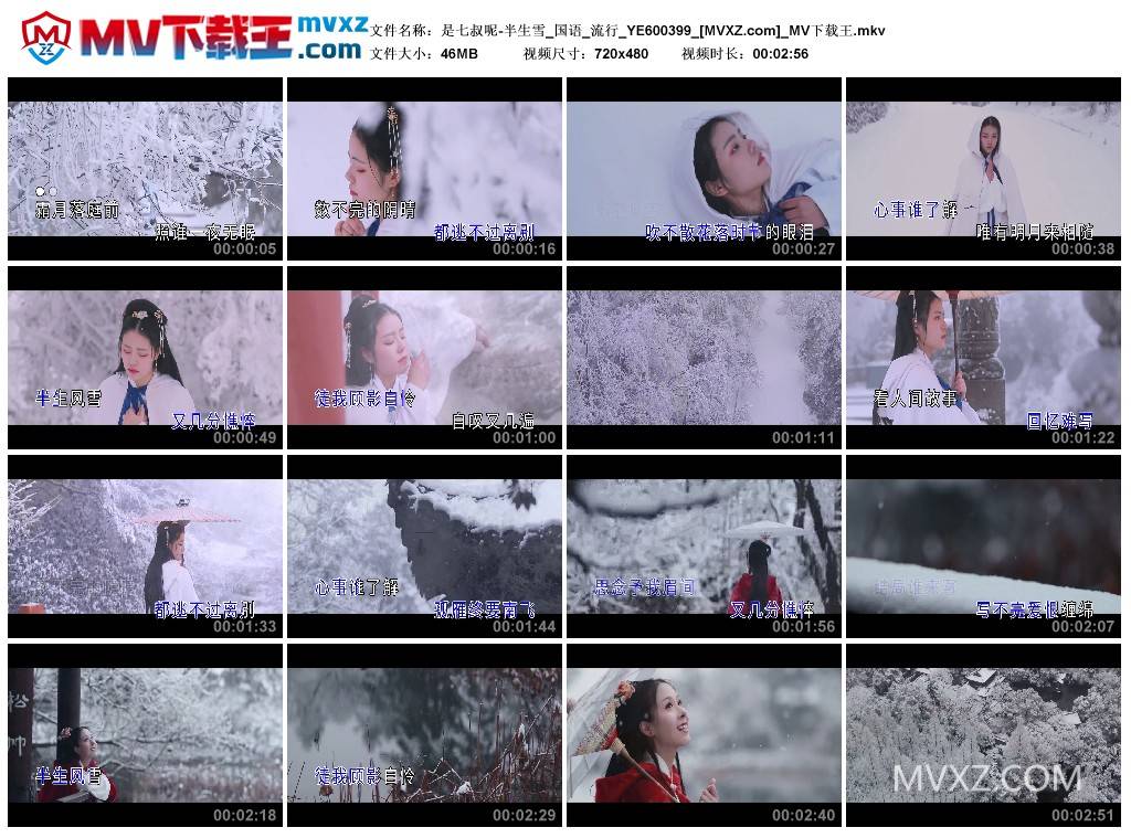 是七叔呢-半生雪_国语_流行_YE600399